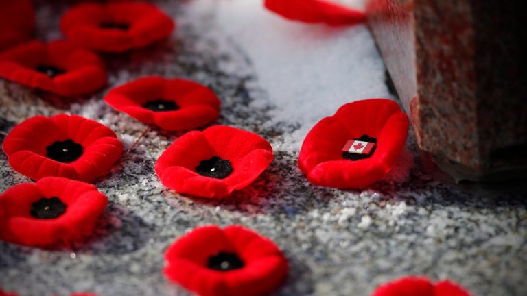 free-remembrance-day-events-free-stuff-finder-canada